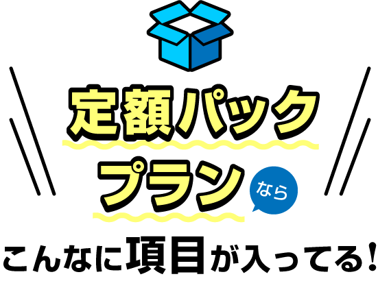 定額パックプランならこんなに項目が入ってる！